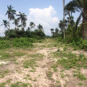 Heritage-Meadows-land-Mar-2017-2