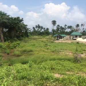 Heritage-meadows-land-Mar-2017